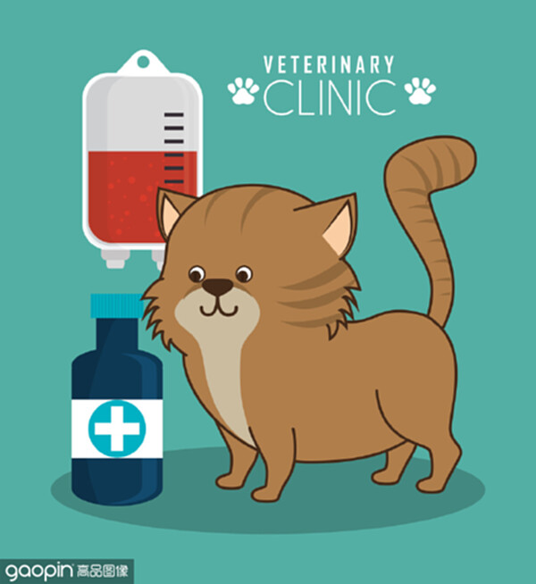 Pet and animal shop