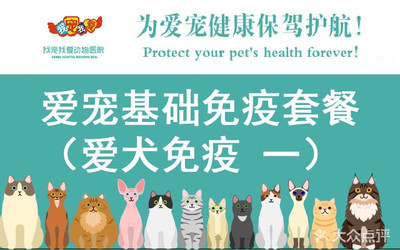 我宠我爱动物医院团购 为爱宠提供经济实惠的医疗服务