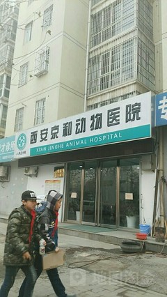 西安京和动物医院 为爱宠提供专业医疗与贴心关怀