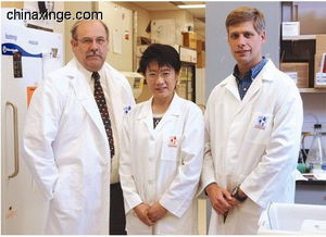 西安凯鸽企业动态 依托中国信鸽信息网鸽业大全，打造专业动物医院服务