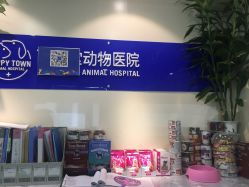 芭比堂动物医院北京爱迪分院 专业贴心的动物健康守护者