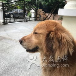 选择君宠动物医院，为爱宠的健康保驾护航