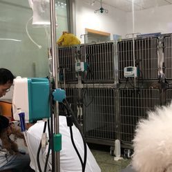 西南民族大学动物医院 专业服务与综合保障