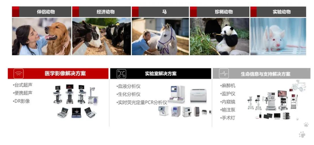 政策松绑下的新蓝海 迈瑞、联影如何悄然布局600亿动物医疗市场