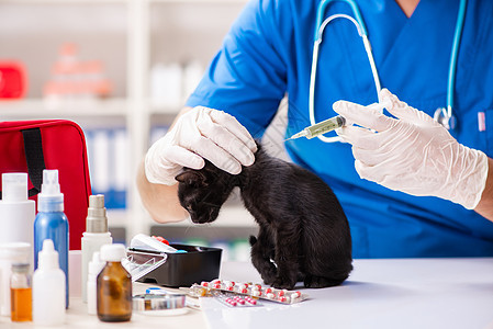 动物医院的一天 兽医生如何呵护小动物的健康