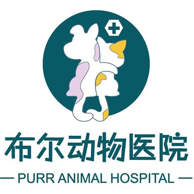 布尔动物医院 呵护爱宠健康的专业伙伴